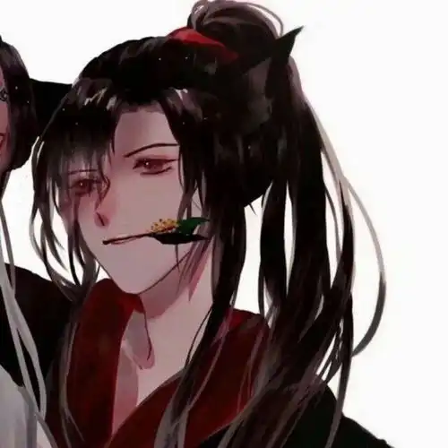  魔道祖师情头,嗨只想跟你一起天天