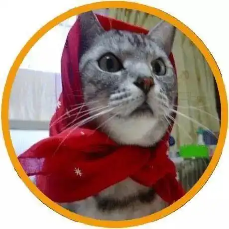  家里有两只猫,平时奶牛猫是老大,有天老大偷吃之后...