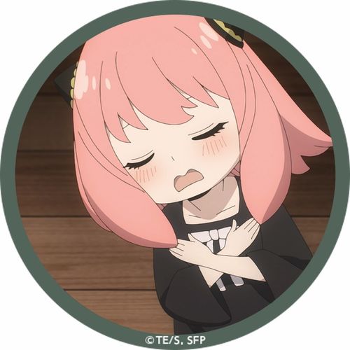  40个阿尼亚头像