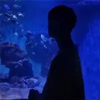 情侣头像一左一右唯美女