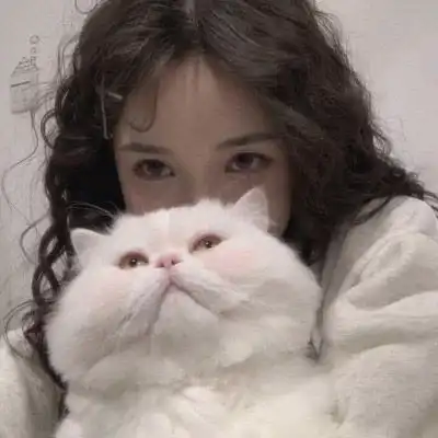 抱猫的情侣头像虹猫