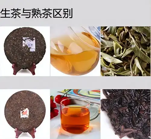  探究普洱茶冲泡后的色彩奥秘一款生茶的独特魅力