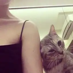  求跟这很图搭配的男头像主意要有猫哦另外求点猫的情侣头像00