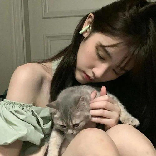  好看实用的微信头像