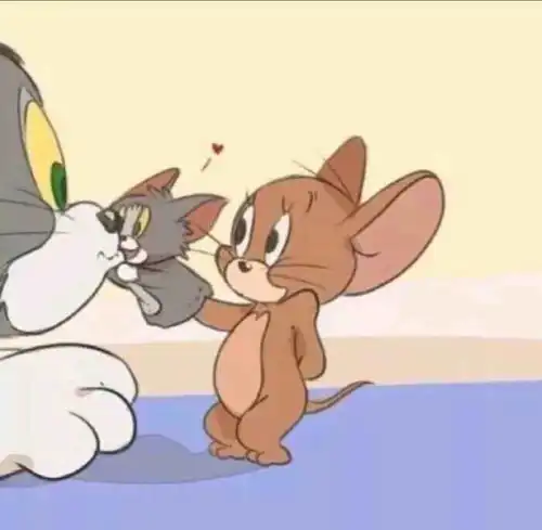 猫的情侣头像可爱