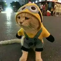 动物宠物情侣头像