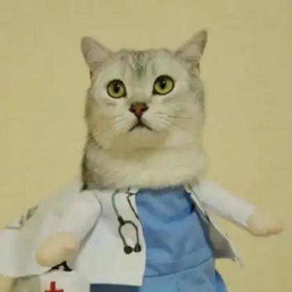 小猫情侣头像超萌动漫