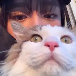 抱猫的情侣头像马桶
