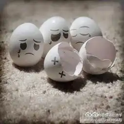  商场经济学一农夫拣了个鸡..