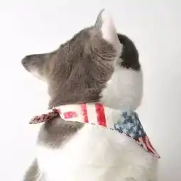 小猫情侣头像超萌心形