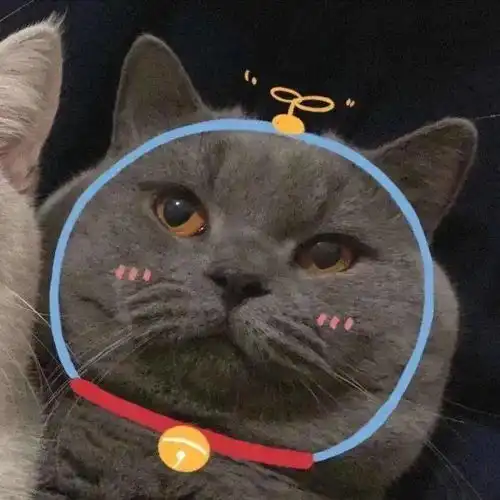  猫咪情侣头像