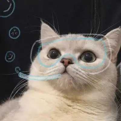 情侣头像可爱猫咪