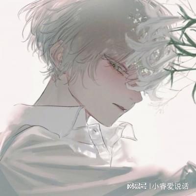  po文作家专栏雪莉合集丨桌边小说雪梨笔趣阁