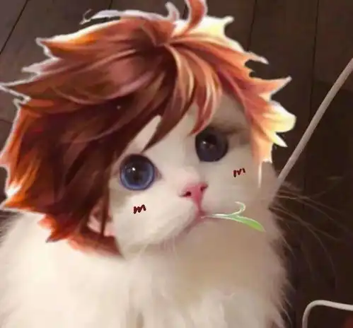  最近很火的王者荣耀猫头表情包情侣头像大乔太萌了