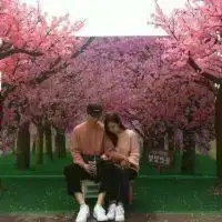  2018的唯美情侣头像一对