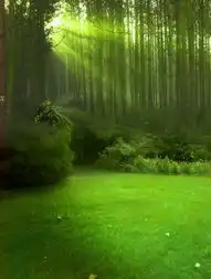  黑森树魇最新章节黑森树魇全文阅读宋明轩的小说