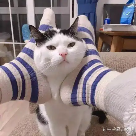  分享一波压箱底的女生头像哦