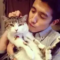  求各种关于猫的情侣头像是猫