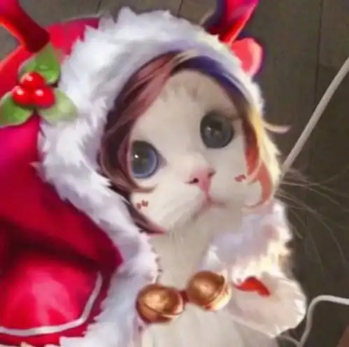  王者荣耀猫咪接头头像大全猫咪头像无水印制作方法