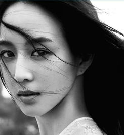  台湾第一气质美女张钧甯,这个称号当之无愧
