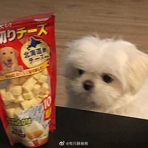  沙雕女孩必备文案