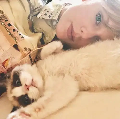 抱猫的情侣头像霉霉