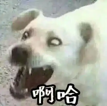 两只猫咪图片情侣头像啊