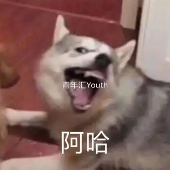  因为这个头像闺蜜居然和男友分手了哈哈哈可怕