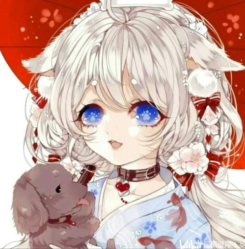  介绍