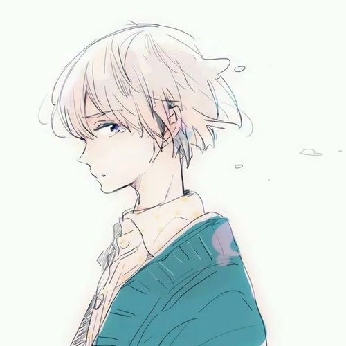  动漫男生头像要把所有的夜归还给星河,把所有的春光归还给疏疏篱落