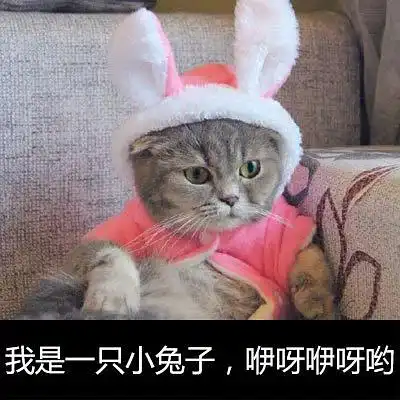  华侨城地铁站小区次卧出租