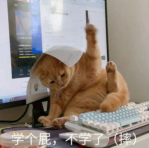  番禺家长注意女孩上网课走错群,几分钟内被骗2万元