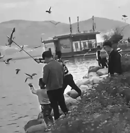  泸沽湖洗车景区打架所有人文明旅游您最美