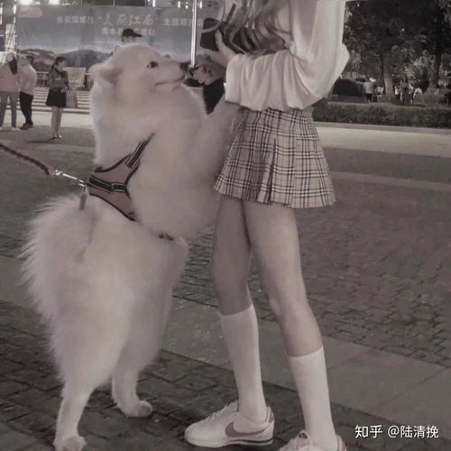  有哪些好看的女头像