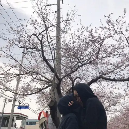  12.4小头像壁纸