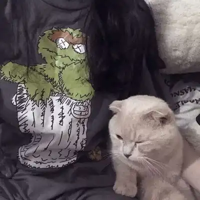抱猫的情侣头像情头