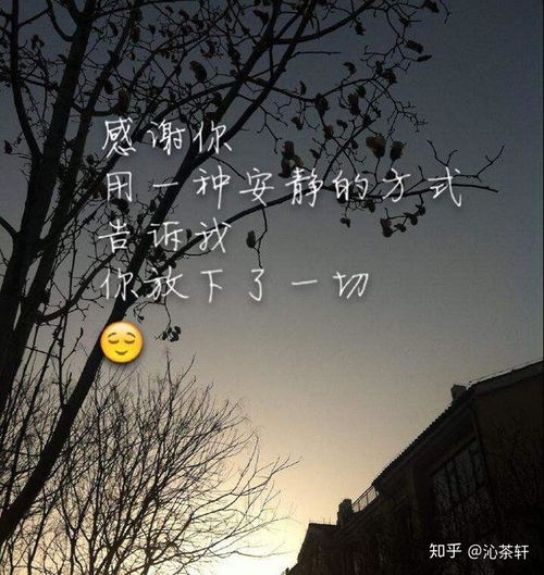  在感情中,什么才是真正的放下