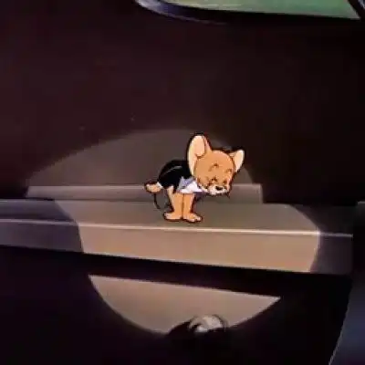 抱猫的情侣头像猫和老鼠