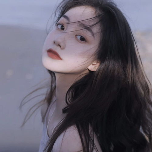  头像你像匹白马