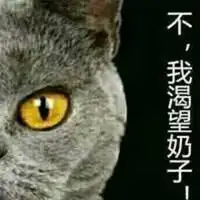  萌贱猫狗的情侣头像卡通猫狗情侣头像一左一右