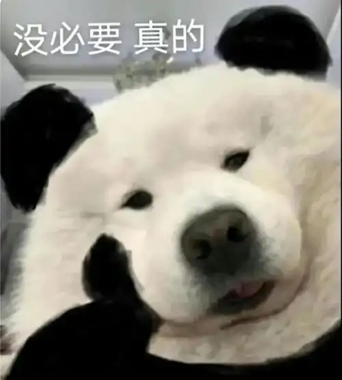  粉丝控诉被骗百万,这对异国情侣网红出事了
