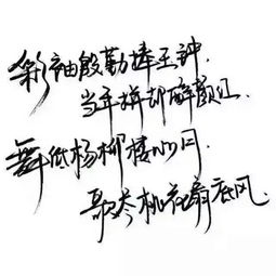  制作这些图片的软件名叫什么急在线等