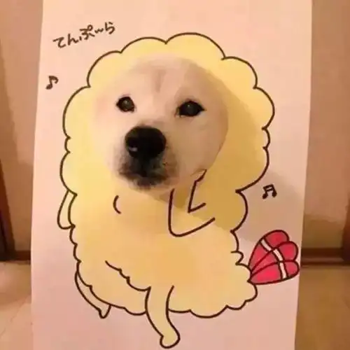  满屏的动漫情侣头像等你来挑