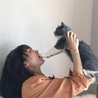  可爱女生和猫的头像,抱猫的女生送给喜欢小猫的亲