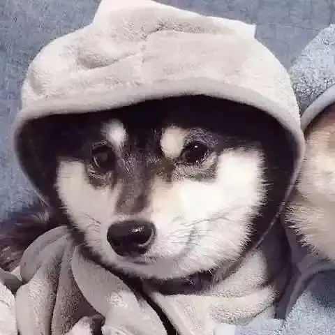  情侣头像有男朋友后才有的尴尬经历