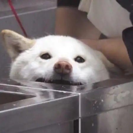 qq头像男生沙雕