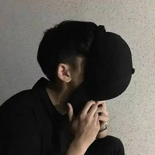  这个另一半情侣头像是啥