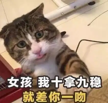 表情包情侣头像土味情话