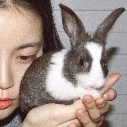  好看的男生女生头像
