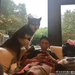  实拍王可可泄露了国民老公王思聪的生活状态